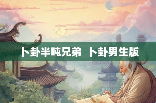 卜卦半吨兄弟  卜卦男生版