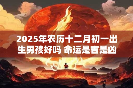 2026年农历十二月初一出生男孩好吗 命运是吉是凶