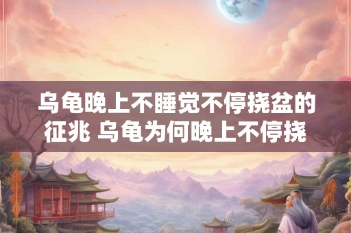 乌龟晚上不睡觉不停挠盆的征兆 乌龟为何晚上不停挠盆