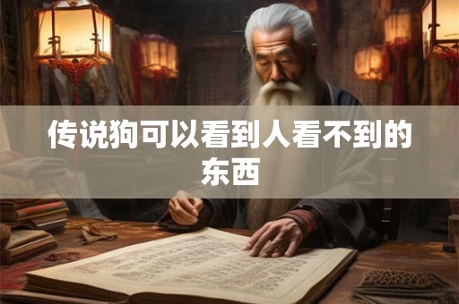 传说狗可以看到人看不到的东西