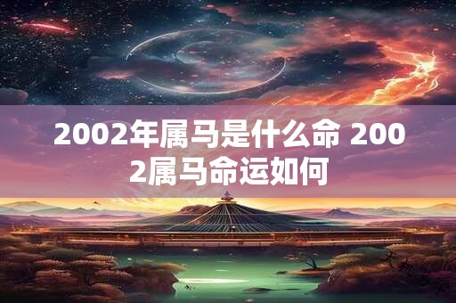 2002年属马是什么命 2002属马命运如何