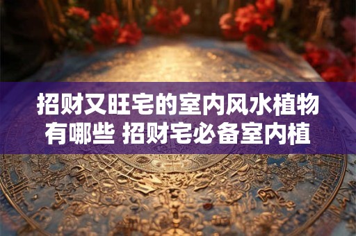招财又旺宅的室内风水植物有哪些 招财宅必备室内植物有哪些