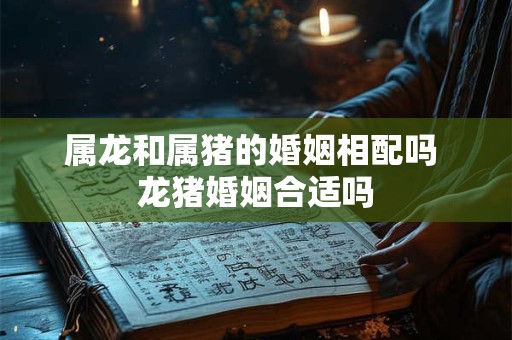 属龙和属猪的婚姻相配吗 龙猪婚姻合适吗