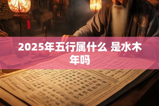 2025年五行属什么 是水木年吗
