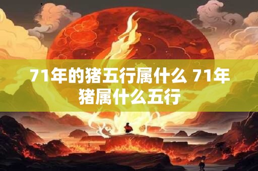 71年的猪五行属什么 71年猪属什么五行