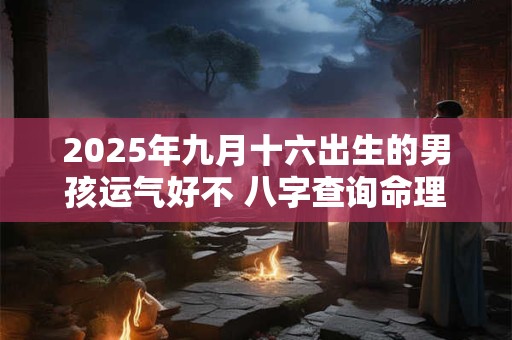 2025年九月十六出生的男孩运气好不 八字查询命理