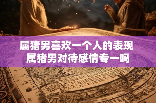 属猪男喜欢一个人的表现 属猪男对待感情专一吗