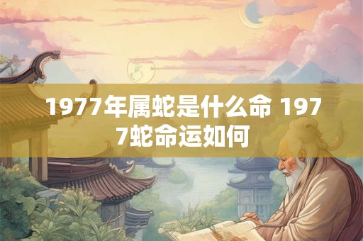 1977年属蛇是什么命 1977蛇命运如何