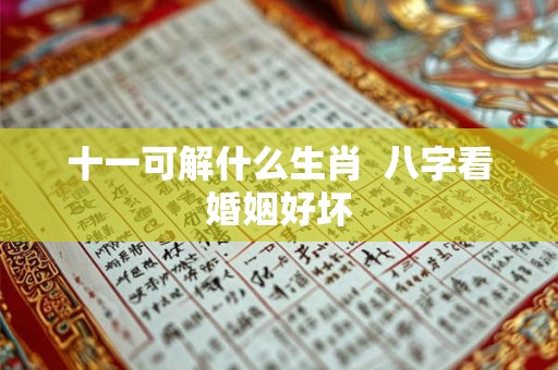 十一可解什么生肖  八字看婚姻好坏