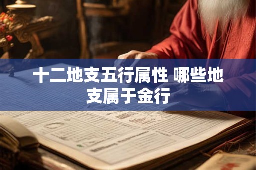 十二地支五行属性 哪些地支属于金行