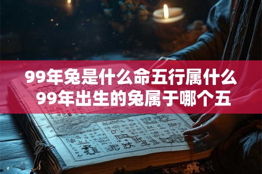 99年兔是什么命五行属什么 99年出生的兔属于哪个五行