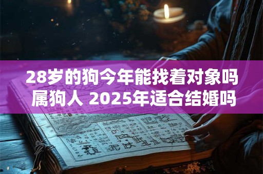 28岁的狗今年能找着对象吗 属狗人 2025年适合结婚吗