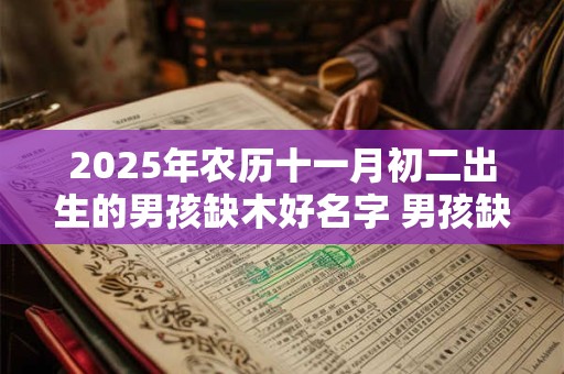 2025年农历十一月初二出生的男孩缺木好名字 男孩缺木用什么字