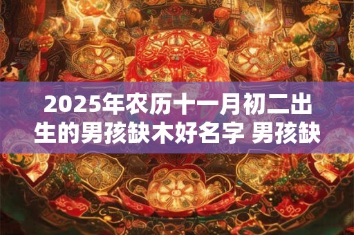 2025年农历十一月初二出生的男孩缺木好名字 男孩缺木用什么字