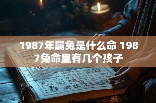 1987年属兔是什么命 1987兔命里有几个孩子