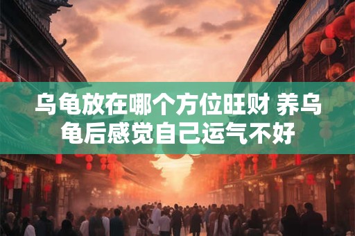 乌龟放在哪个方位旺财 养乌龟后感觉自己运气不好
