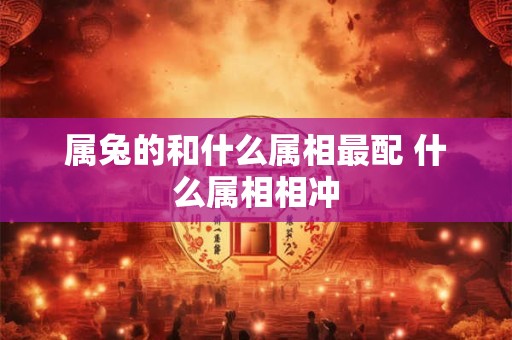 属兔的和什么属相最配 什么属相相冲