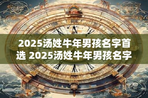 2025汤姓牛年男孩名字首选 2025汤姓牛年男孩名字怎么选