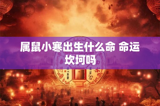 属鼠小寒出生什么命 命运坎坷吗