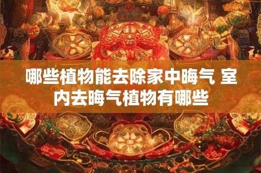 哪些植物能去除家中晦气 室内去晦气植物有哪些