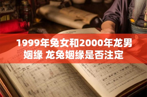 1999年兔女和2000年龙男姻缘 龙兔姻缘是否注定