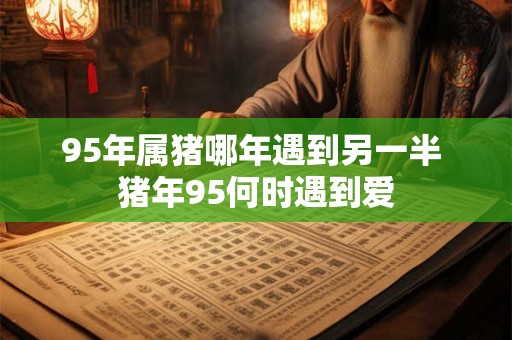 95年属猪哪年遇到另一半 猪年95何时遇到爱