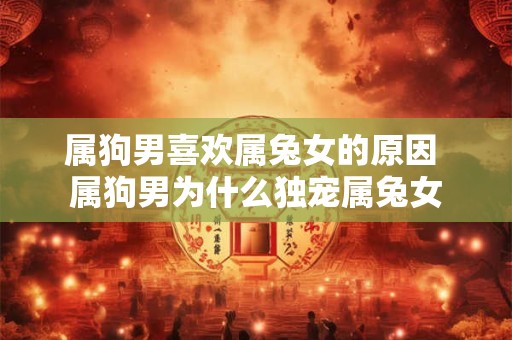 属狗男喜欢属兔女的原因 属狗男为什么独宠属兔女