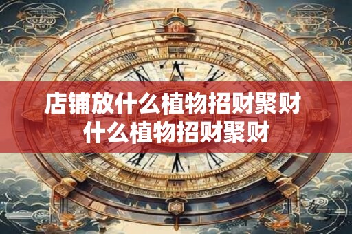店铺放什么植物招财聚财 什么植物招财聚财