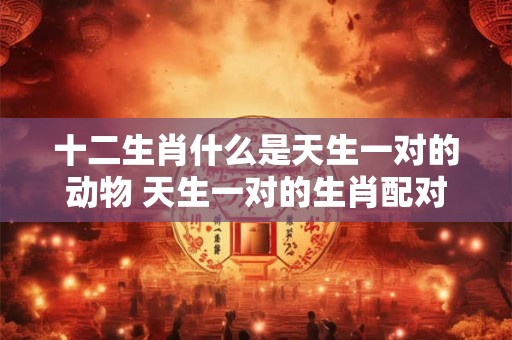 十二生肖什么是天生一对的动物 天生一对的生肖配对
