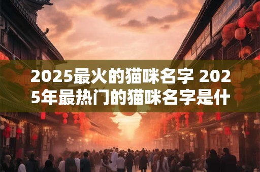 2025最火的猫咪名字 2025年最热门的猫咪名字是什么