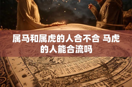 属马和属虎的人合不合 马虎的人能合流吗