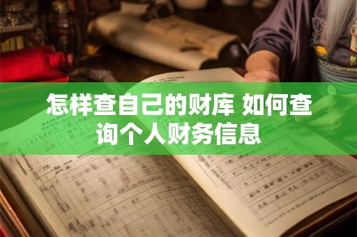 怎样查自己的财库 如何查询个人财务信息