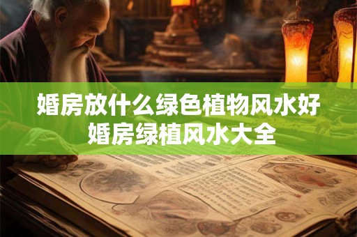 婚房放什么绿色植物风水好 婚房绿植风水大全