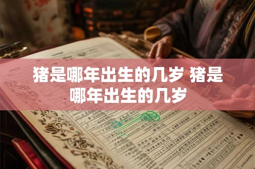 猪是哪年出生的几岁 猪是哪年出生的几岁
