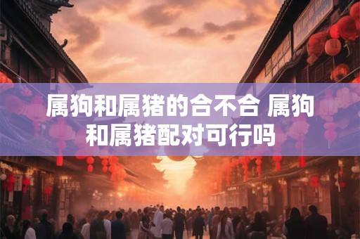 属狗和属猪的合不合 属狗和属猪配对可行吗