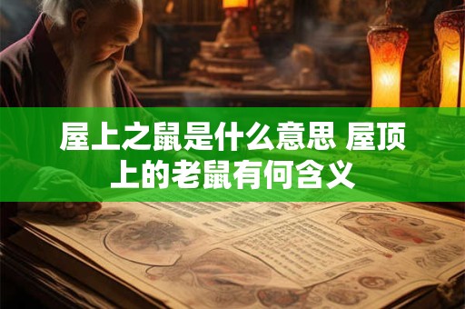屋上之鼠是什么意思 屋顶上的老鼠有何含义