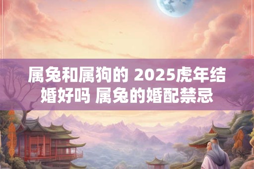 属兔和属狗的 2025虎年结婚好吗 属兔的婚配禁忌