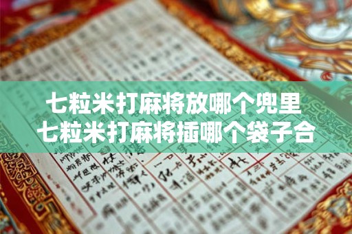 七粒米打麻将放哪个兜里 七粒米打麻将插哪个袋子合适