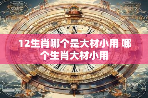 12生肖哪个是大材小用 哪个生肖大材小用