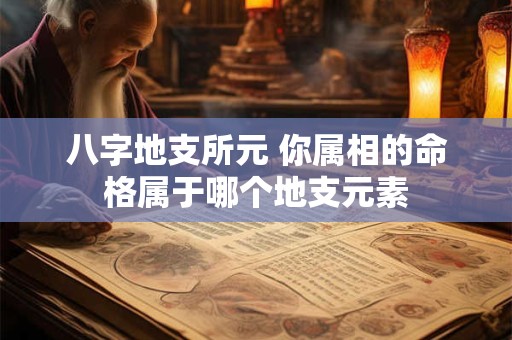 八字地支所元 你属相的命格属于哪个地支元素