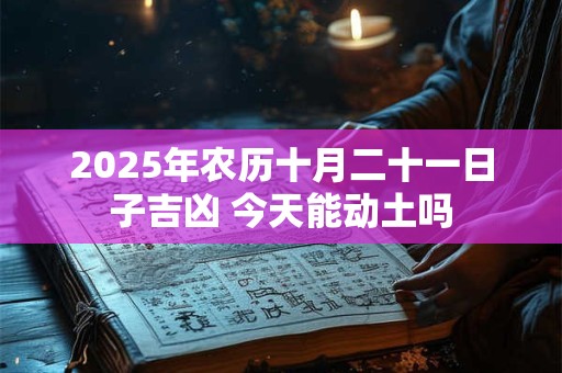 2025年农历十月二十一日子吉凶 今天能动土吗