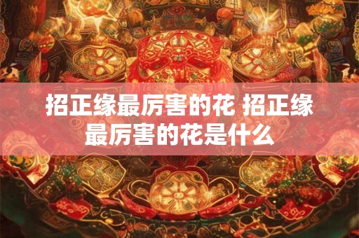 招正缘最厉害的花 招正缘最厉害的花是什么