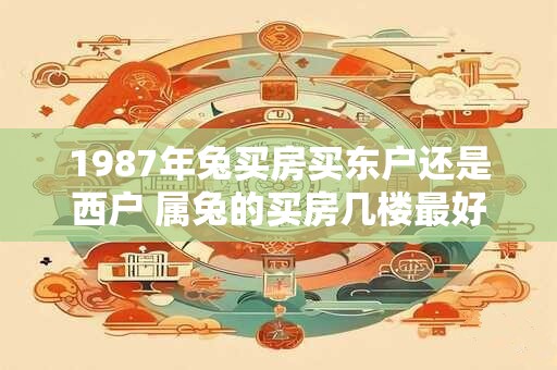 1987年兔买房买东户还是西户 属兔的买房几楼最好