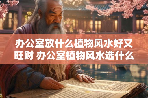 办公室放什么植物风水好又旺财 办公室植物风水选什么好