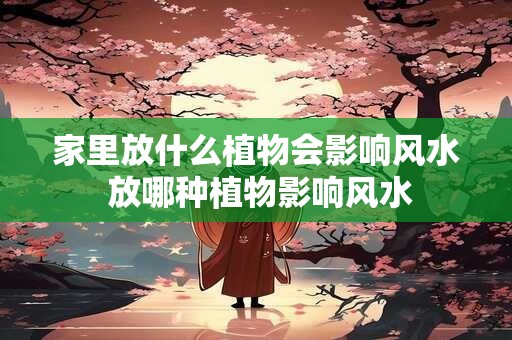 家里放什么植物会影响风水 放哪种植物影响风水
