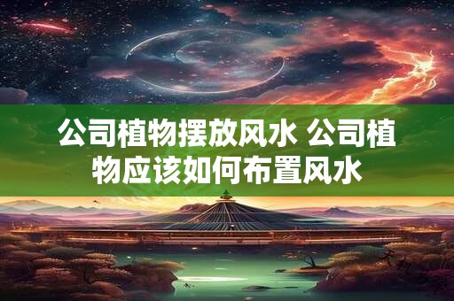 公司植物摆放风水 公司植物应该如何布置风水