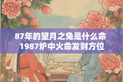 87年的望月之兔是什么命 1987炉中火命发财方位