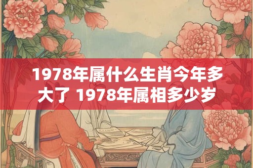 1978年属什么生肖今年多大了 1978年属相多少岁