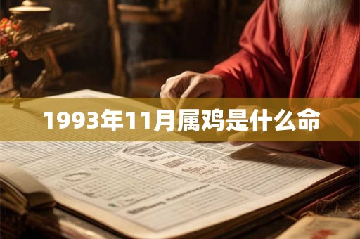 1993年11月属鸡是什么命