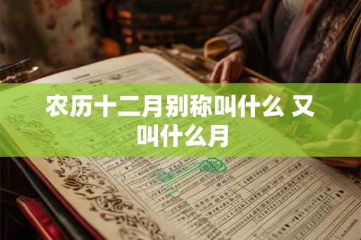 农历十二月别称叫什么 又叫什么月